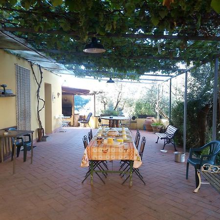 몬텔루포피오렌티노 Agriturismo Il Cavallone 빌라 외부 사진